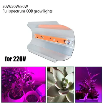 COB LED Grow Light лампа для комнатных растений, полный спектр, тепличный алюминий 220 В, 30 Вт/50 Вт/80 Вт Для выращивания овощей, комнатный сад