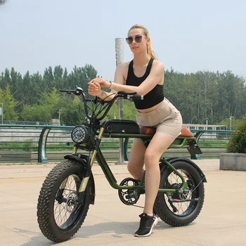 Электрический горный велосипед из высокоуглеродистой стали мощностью 750 Вт 48 В, 20-дюймовая толстая шина, полная подвеска, двойные батареи