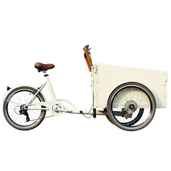 250 Вт мотор LCD displayracks электрический грузовой велосипед 36 В литиевая батарея трехколесный велосипед e-cargo bike bakfiets голландский vlo грузовой для семьи