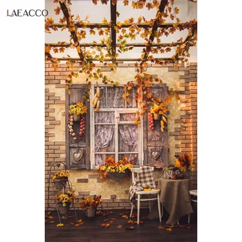 Laeacco Yard Window Стул Осенние Фрукты Портретные фоны для фотосъемки Индивидуальные Фотографические реквизитные фоны для Фотостудии